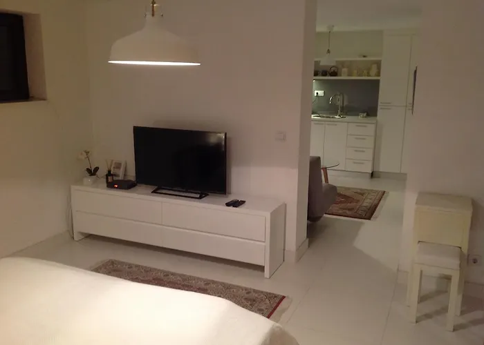 Cozy Center Apartment